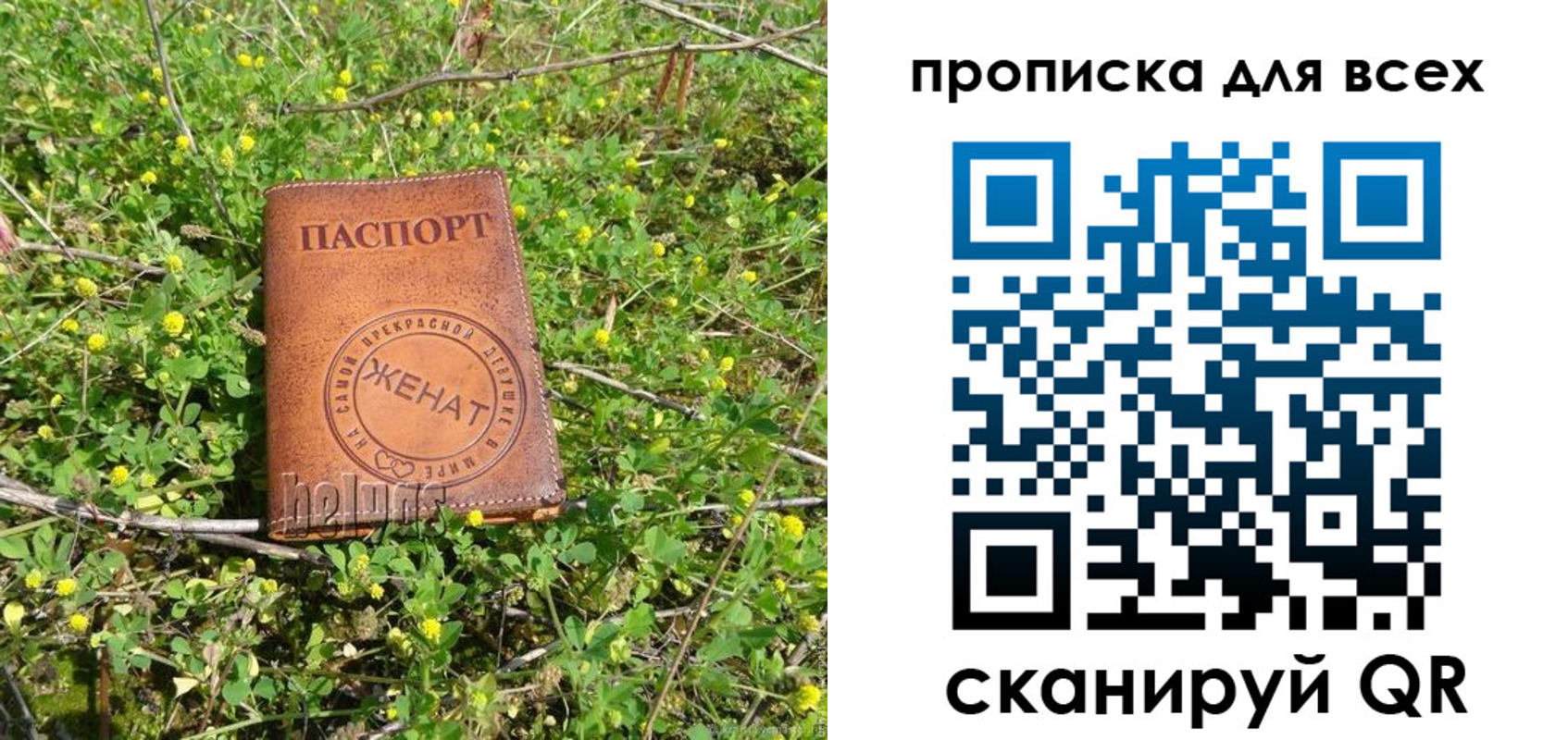 прописка поиск в Приморско-Ахтарске